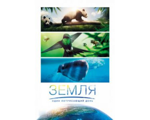 Земля: Один потрясающий день (2017) Земля: Один потрясающий день (2017)